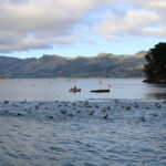 Tri NZ Suzuki Series 2024 explainer: Everything you need to know about Tauranga, Canterbury, Kinloch, Wanaka and Napier Cantery-Classic-Promo